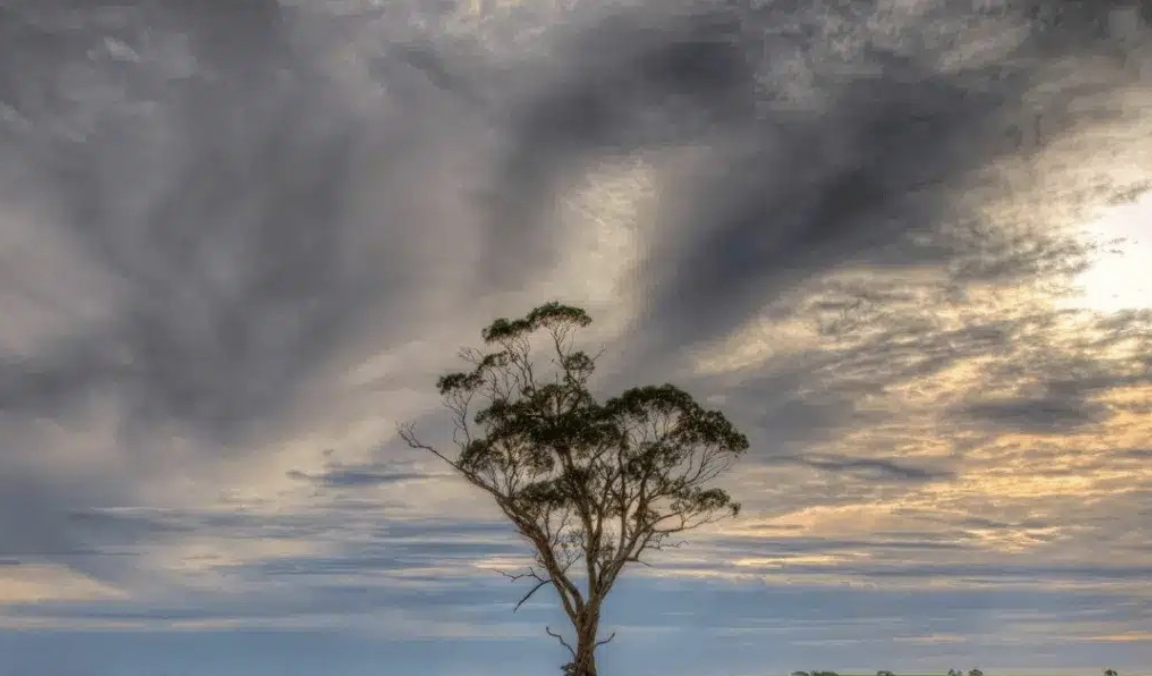 A Guide for MiCA sustainability disclosures for cryptoassets